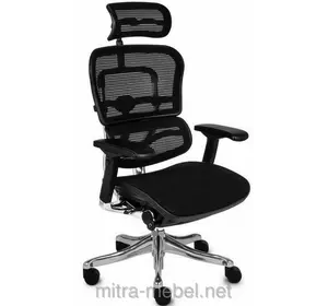 Кресло руководителя Ergohuman Plus черная сетка